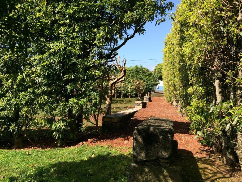 ポンタ・デルガダ Quinta De Santa Claraヴィラ エクステリア 写真