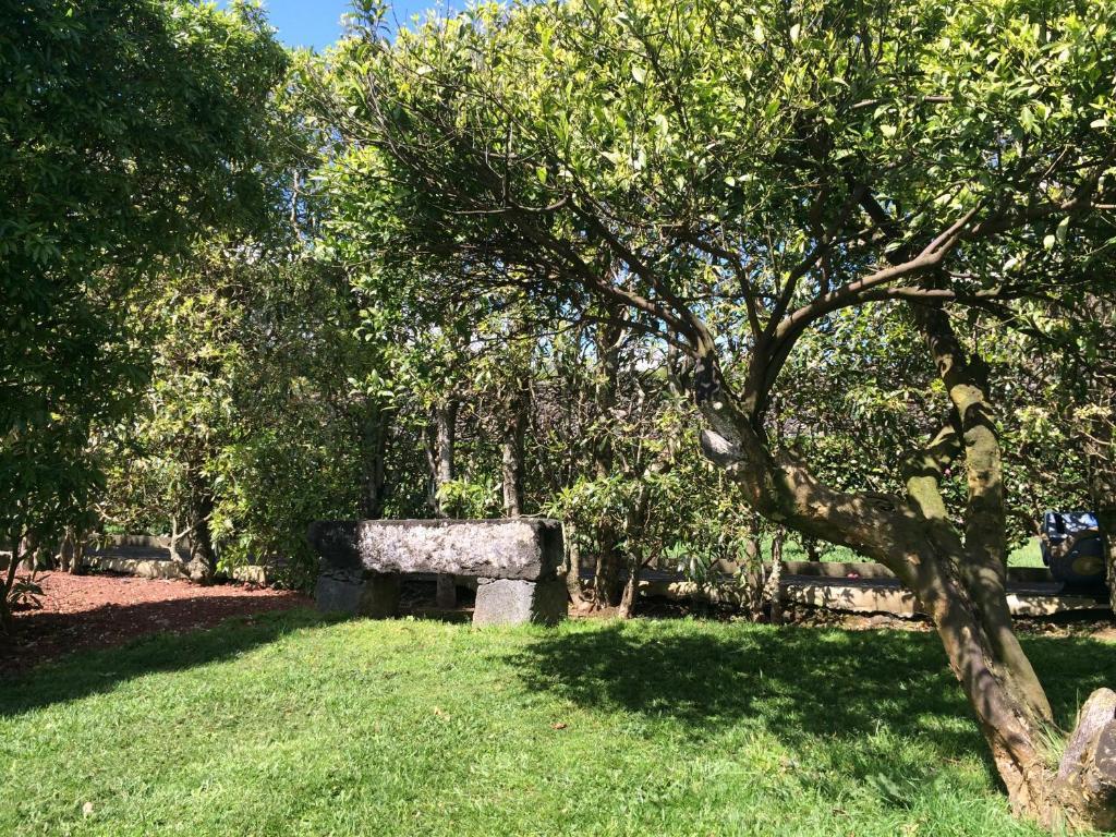 ポンタ・デルガダ Quinta De Santa Claraヴィラ エクステリア 写真